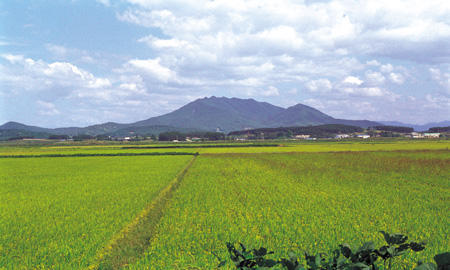 dusengsan